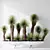 Hybrid Yucca Mexico Set01 Beauty 3D model small image 2