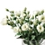 Eustoma & Lisianthus Bouquet Duo 3D model small image 4