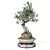 Corona Render Olive Bonsai Model 3D model small image 2