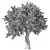 Elegant Olive Tree No.57 3D model small image 4