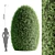 Oval Ornamental Topiary Bush 3D model small image 1