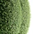 Oval Ornamental Topiary Bush 3D model small image 2