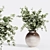  High-Quality Bouquet Indoor Plant 3D model small image 5