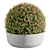 Artificial Topiary Ball Bush 2 3D model small image 3