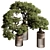 Bonsai Plant 625: Indoor Charm 3D model small image 1