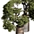 Bonsai Plant 625: Indoor Charm 3D model small image 3