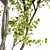 Seasonal Tree 3D Model Collection 3D model small image 3