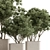 Russian Birch Tree in Pot 3D model small image 3