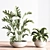 Modern Indoor Plant Set 3D 3D model small image 3