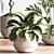 Modern Indoor Plant Set 3D 3D model small image 5