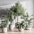 Modern Indoor Plant Set 3D 3D model small image 8