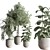 Modern Indoor Plant Set 3D 3D model small image 10