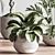 Modern Indoor Plant Set 3D 3D model small image 11