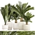 Exotic Plant Collection: Modern Decor 3D model small image 1