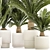 Exotic Plant Collection: Modern Decor 3D model small image 3