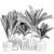 Exotic Plant Collection: Modern Decor 3D model small image 7