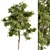 Holiday Mistletoe Tree Set 3D model small image 1