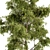 Holiday Mistletoe Tree Set 3D model small image 2