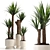 Yucca Indoor Plant 3D Model 3D model small image 1