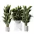 Tropical Palm Set with Planter 3D model small image 1