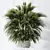 Tropical Palm Set with Planter 3D model small image 4