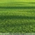 Pro Render Grass Pack 3D model small image 3