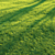 Pro Render Grass Pack 3D model small image 4