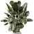  Handmade Stone Pot Indoor Plants 3D model small image 3