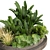 Premium 3D Garden Plant Collection 3D model small image 2