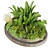Premium 3D Garden Plant Collection 3D model small image 3