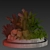 Premium 3D Garden Plant Collection 3D model small image 7