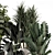 Modern Indoor Plants Set 1836 3D model small image 3