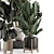 Modern Indoor Plants Set 1836 3D model small image 4