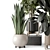 Modern Indoor Plants Set 1836 3D model small image 5