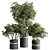 628 Indoor Tree Plant Pot 3D model small image 1