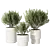 Minimalist Concrete Potted Live Plant 3D model small image 1