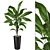 High-quality 3D Plant Models 3D model small image 6