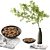 Modern Walnut Branch Decor Set 3D model small image 1