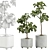 Ficus Lyrata Indoor Plant Model 3D model small image 1