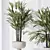 Rhapis Excelsa Lady Palm Set 3D model small image 3