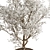 Gorgeous Bonsai Plant 624 3D model small image 3