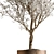 Gorgeous Bonsai Plant 624 3D model small image 4
