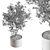 Gorgeous Bonsai Plant 624 3D model small image 5