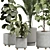 Modern Indoor Plant Model 452 3D model small image 2