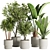 Modern Indoor Plant Set 2016 3D model small image 1