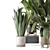 Modern Indoor Plants Bau Pot 3D model small image 6