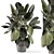 - 3D Indoor Plants in Stone Pot 3D model small image 1