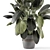 - 3D Indoor Plants in Stone Pot 3D model small image 3