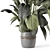 - 3D Indoor Plants in Stone Pot 3D model small image 4