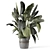 - 3D Indoor Plants in Stone Pot 3D model small image 5